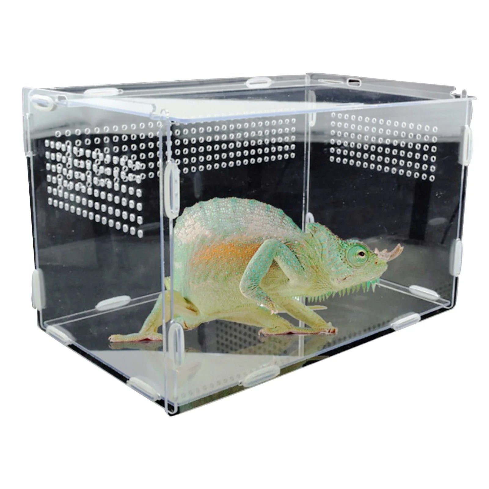 Transparent Reptile Breeding Box Acrylic Feeding Box 360 Degree High Transparent Magnetic Pet Climbing Terrarium